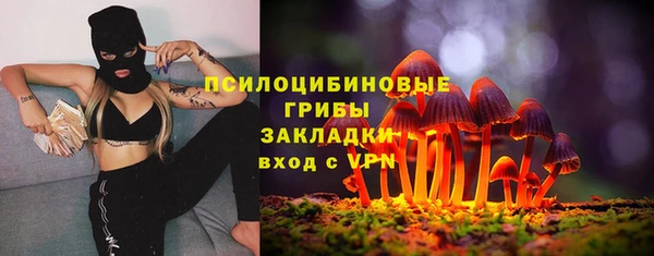 стафф Алексеевка