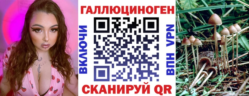 Псилоцибиновые грибы MAGIC MUSHROOMS  даркнет сайт  Малаховка 